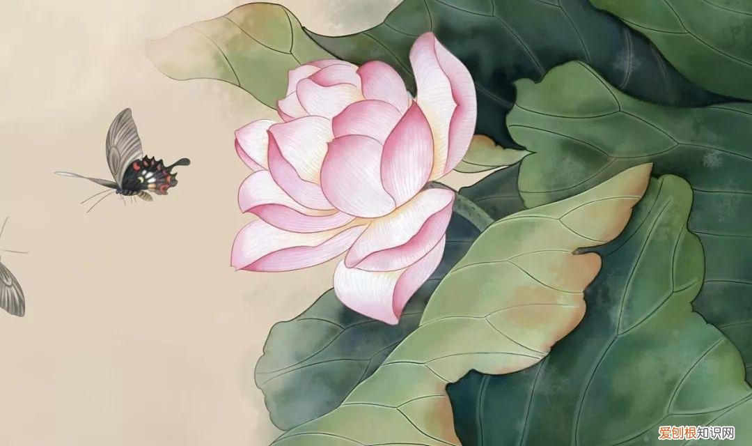 养花是一种心灵的寄托,这18种花,古代人家里都爱养,也是寄托了对生活的期望!