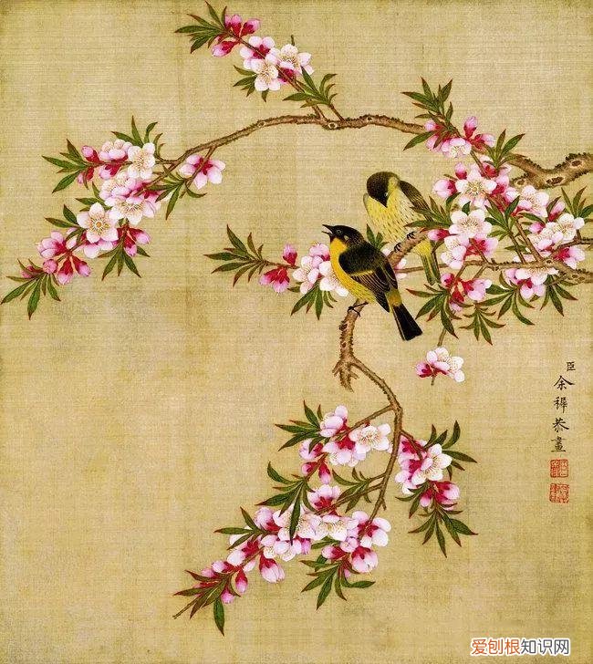 养花是一种心灵的寄托,这18种花,古代人家里都爱养,也是寄托了对生活的期望!