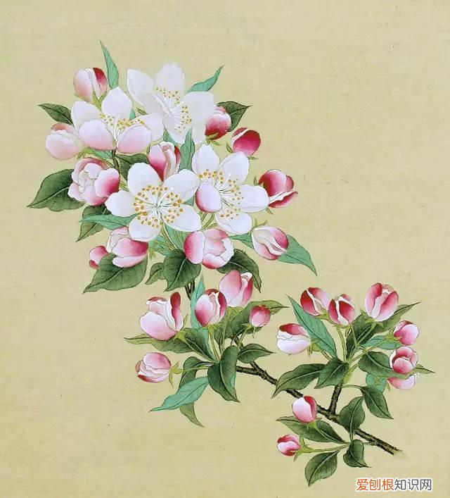 养花是一种心灵的寄托,这18种花,古代人家里都爱养,也是寄托了对生活的期望!