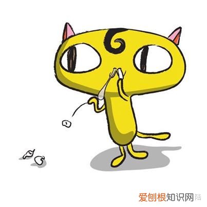 猫咪有鼻涕打喷嚏怎么回事,猫咪一直打喷嚏、流鼻涕怎么了