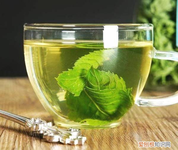 释放有害气体的植物,18大“健康花”,吸收有害气体,滞尘,释放氧气,还能治愈人心