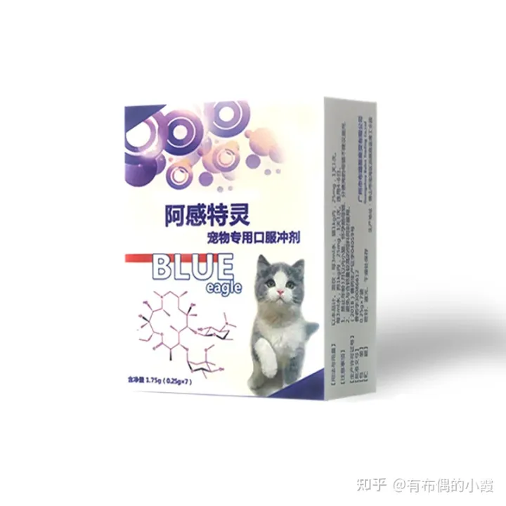 猫流脓鼻涕一定是猫鼻支吗,猫咪流鼻涕是什么原因?小心是猫鼻支!