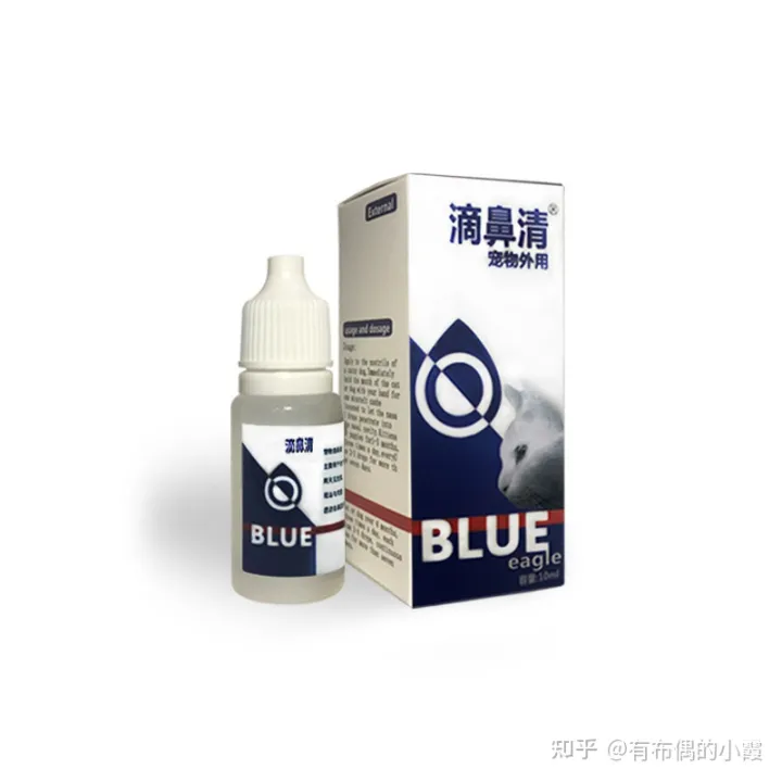 猫流脓鼻涕一定是猫鼻支吗,猫咪流鼻涕是什么原因?小心是猫鼻支!