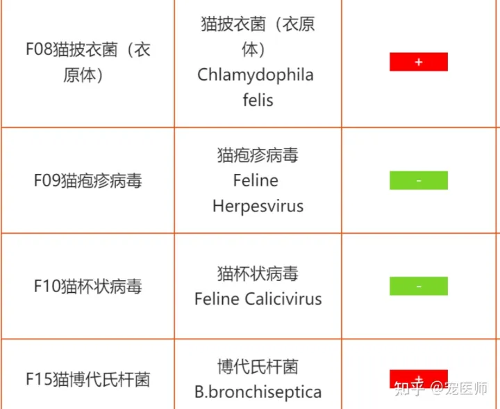猫打喷嚏喷出鼻涕正常吗怎么治疗,猫咪出现一些打喷嚏、流鼻涕、咳嗽等症状时,主人需要做什么?