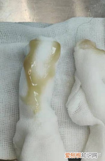 猫打喷嚏喷出鼻涕正常吗怎么治疗,猫咪出现一些打喷嚏、流鼻涕、咳嗽等症状时,主人需要做什么?