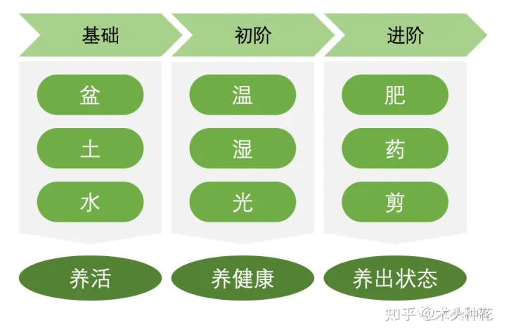 养花的基本常识,什么?养花第一步我就错了?