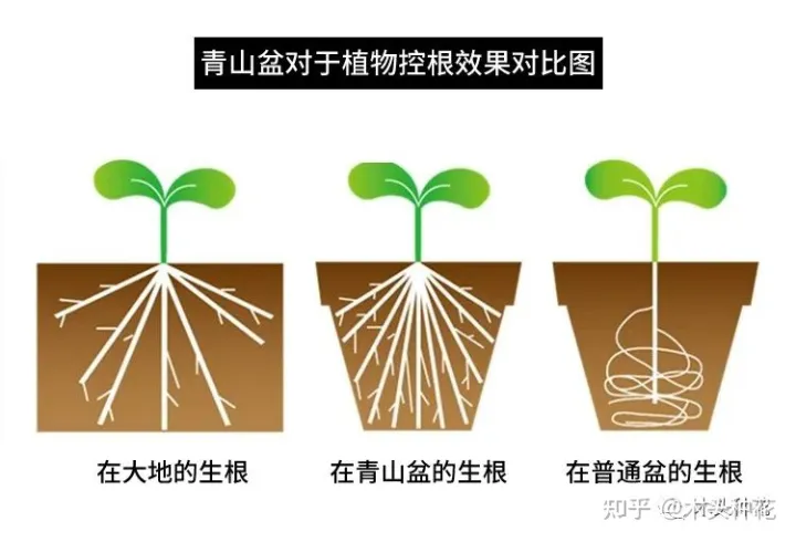 养花的基本常识,什么?养花第一步我就错了?