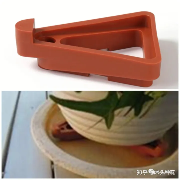 养花的基本常识,什么?养花第一步我就错了?