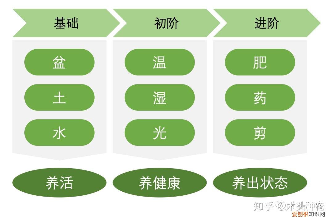 养花的基本常识,什么?养花第一步我就错了?