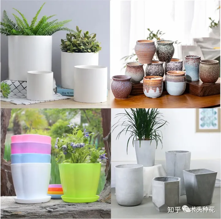 养花的基本常识,什么?养花第一步我就错了?