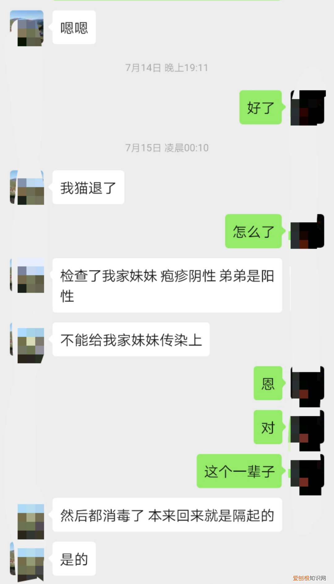 猫流鼻涕用什么滴鼻液,猫咪喷嚏、鼻涕、眼睛流液是什么原图?猫鼻支分析和治疗方法~1