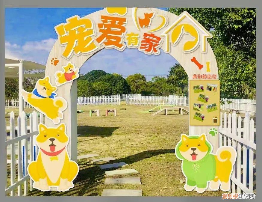 奉贤区动物园,奉贤这个居民区“宠爱有方”狗狗也有自己的“专属乐园”