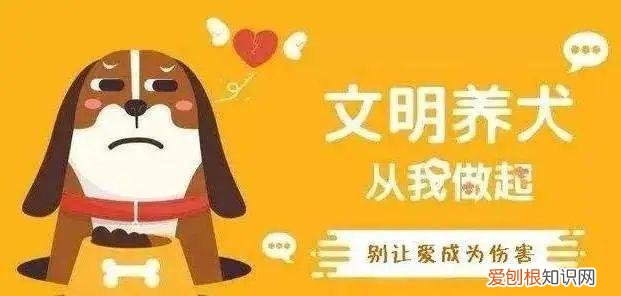 奉贤区动物园,奉贤这个居民区“宠爱有方”狗狗也有自己的“专属乐园”