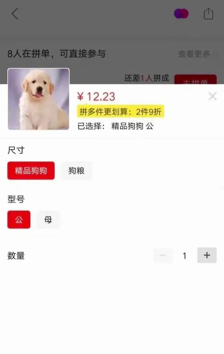 附近哪里有宠物狗买,竟然有人敢花12块买宠物狗?网友直呼:这只精品狗果然很拼夕夕