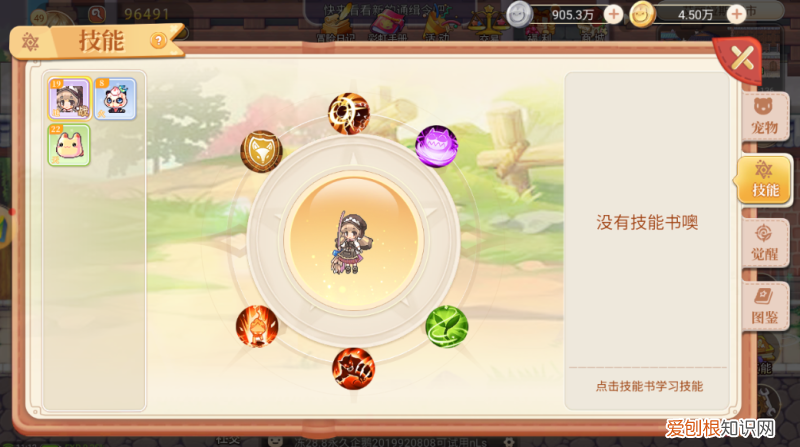 《永恒岛之彩虹回忆》宠物养成攻略,《永恒岛之彩虹回忆》宠物养成攻略