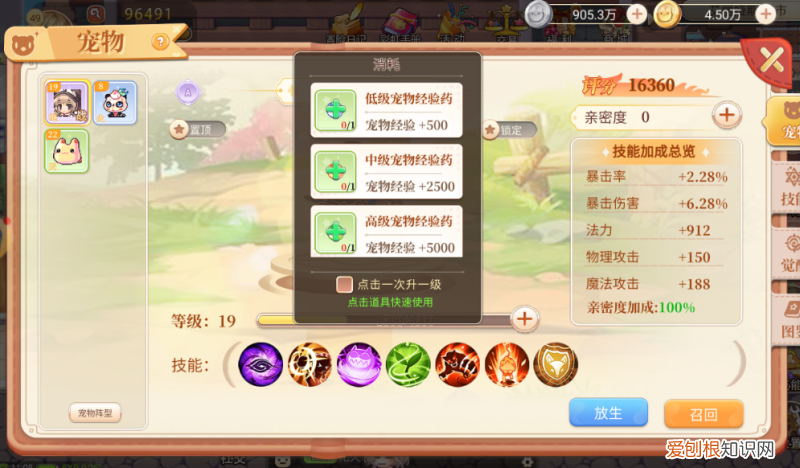 《永恒岛之彩虹回忆》宠物养成攻略,《永恒岛之彩虹回忆》宠物养成攻略