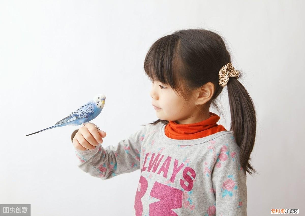 给叛逆期的男孩养狗好吗?,孩子缠着要宠物拗不过孩子,求推荐几种适合家养的宠物!新手必读