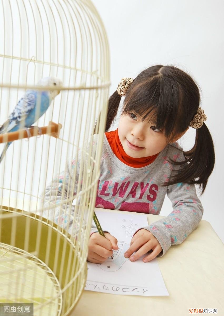 给叛逆期的男孩养狗好吗?,孩子缠着要宠物拗不过孩子,求推荐几种适合家养的宠物!新手必读