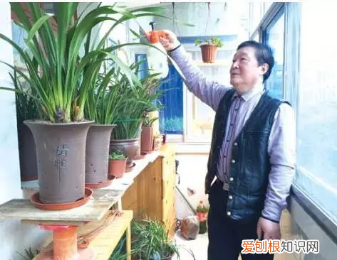 勤养鱼懒养花是什么意思,养花讲究的是“三勤”和“三懒”,你们注意到了吗?