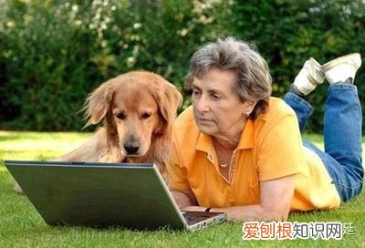 养动物作为宠物的好处,宠物的重要性 ——养宠物的六大好处