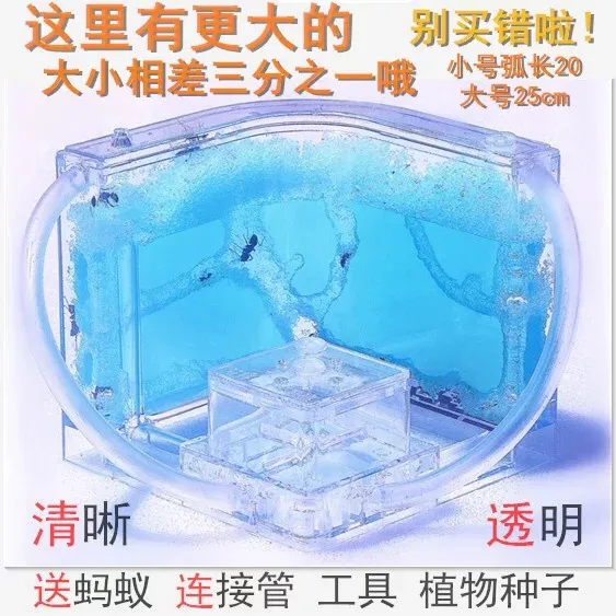 养宠物推荐知乎,大学生想养宠物,应该养什么宠物?