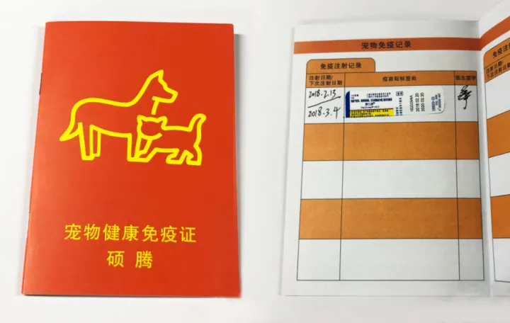 养宠物应该采取什么措施,关于养宠物的注意事项?