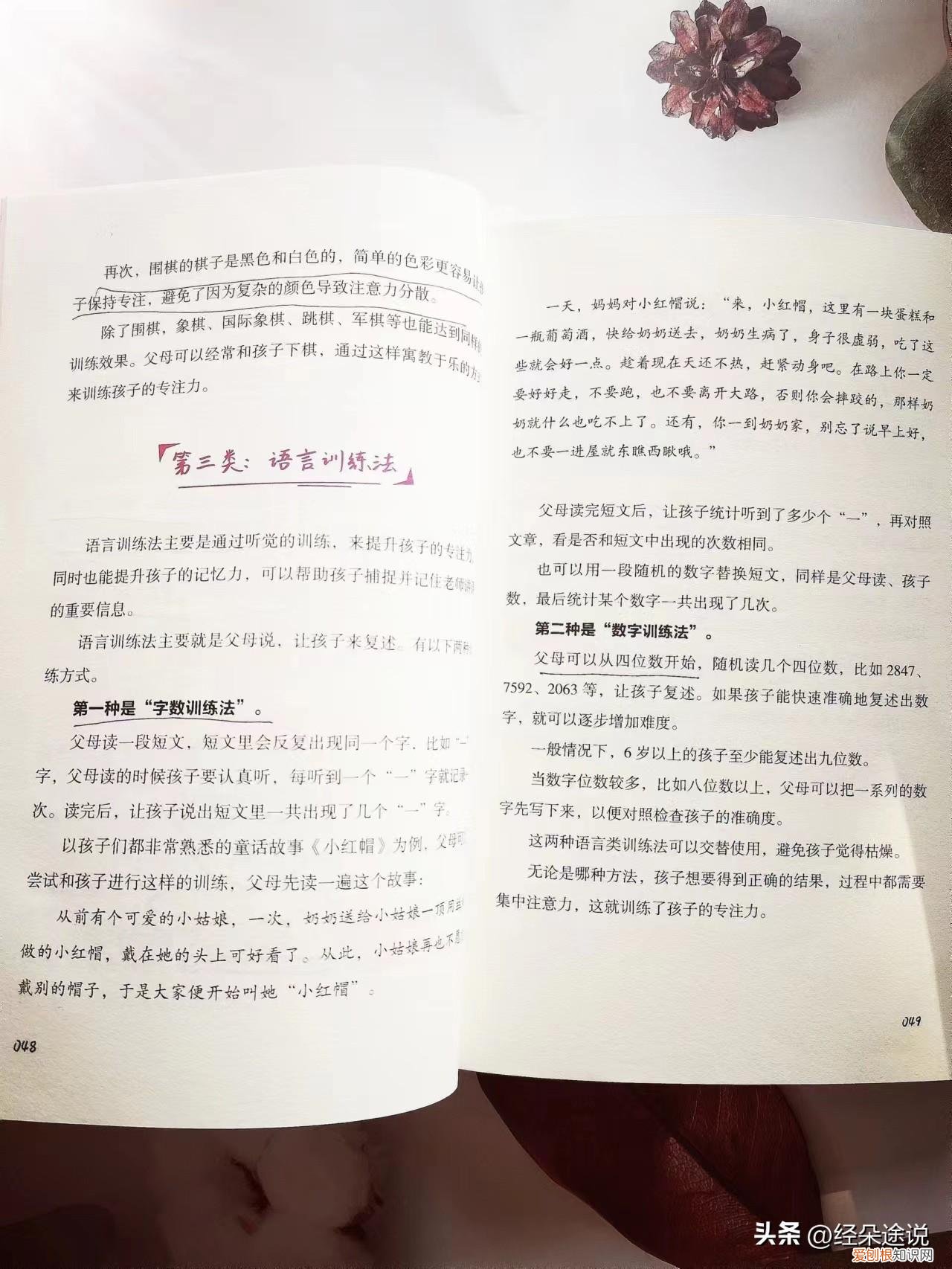 怎么样训练孩子专注力,如何提升孩子的专注力?这4类训练方法你不得不知