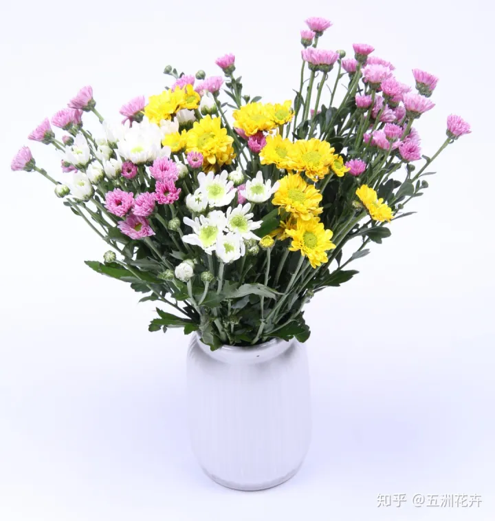 花艺基础理论入门,花艺知识课堂丨做到这几点,人人都是买花养花专家