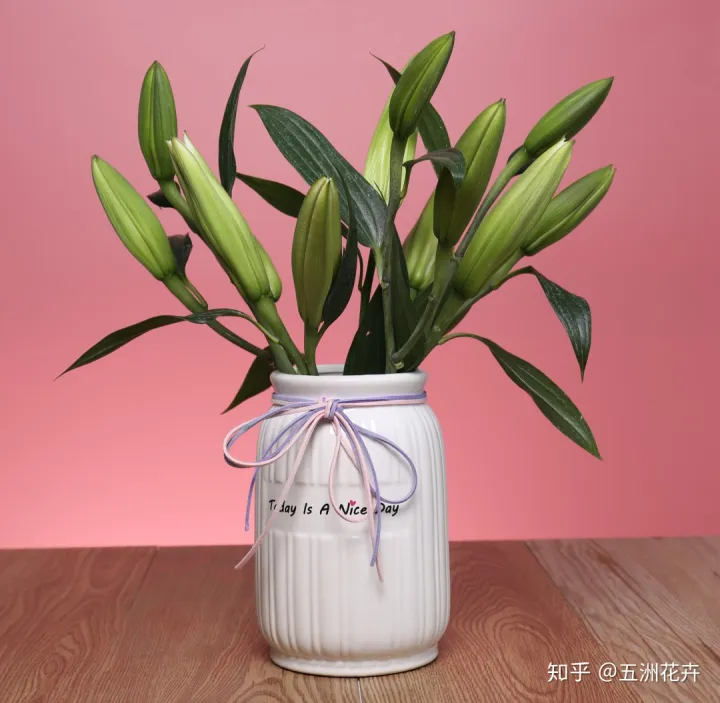 花艺基础理论入门,花艺知识课堂丨做到这几点,人人都是买花养花专家