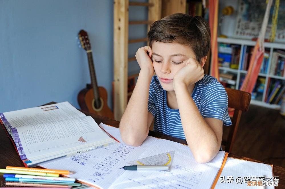 小孩如何培养专注力的方法,教你5招培养孩子的专注力