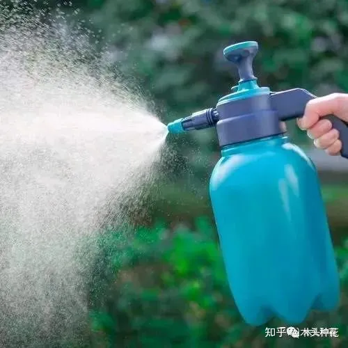 养花的八大问题,养花新手最容易忽略的因素!你中招了吗?