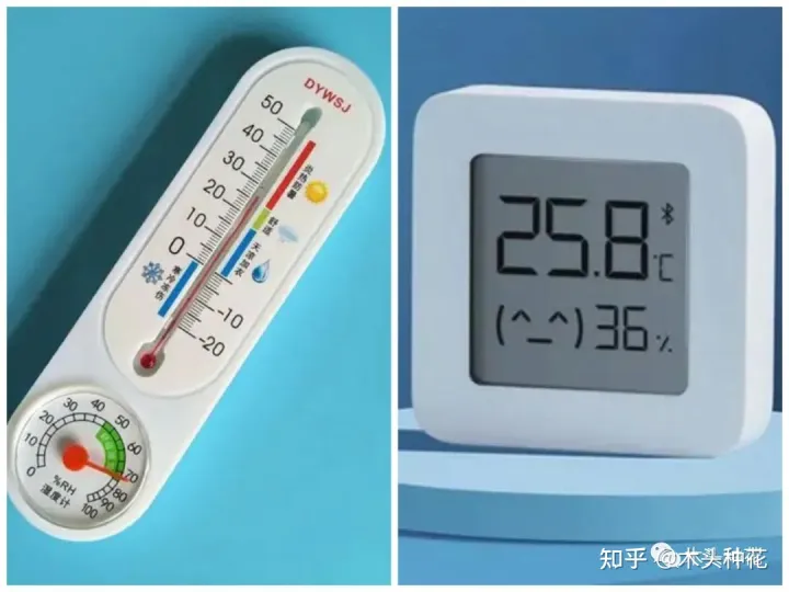 养花的八大问题,养花新手最容易忽略的因素!你中招了吗?