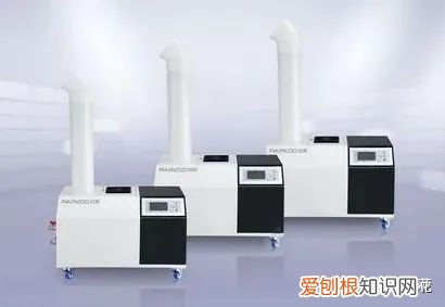 养花的八大问题,养花新手最容易忽略的因素!你中招了吗?