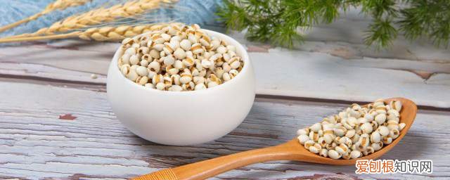 薏苡仁的功效与作用点用 薏苡仁的功效与作用是什么《关于薏苡仁的功效介绍》