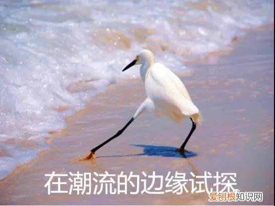 为什么女生会喜欢小奶狗,为什么现在的女孩子,都喜欢「小奶狗」系男生?偶像练习生告诉你
