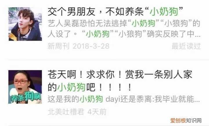 为什么女生会喜欢小奶狗,为什么现在的女孩子,都喜欢「小奶狗」系男生?偶像练习生告诉你