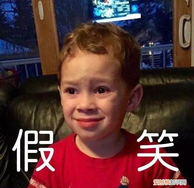 为什么女生会喜欢小奶狗,为什么现在的女孩子,都喜欢「小奶狗」系男生?偶像练习生告诉你