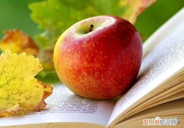 经典小常识,50个万能小常识,很好用!(收藏)