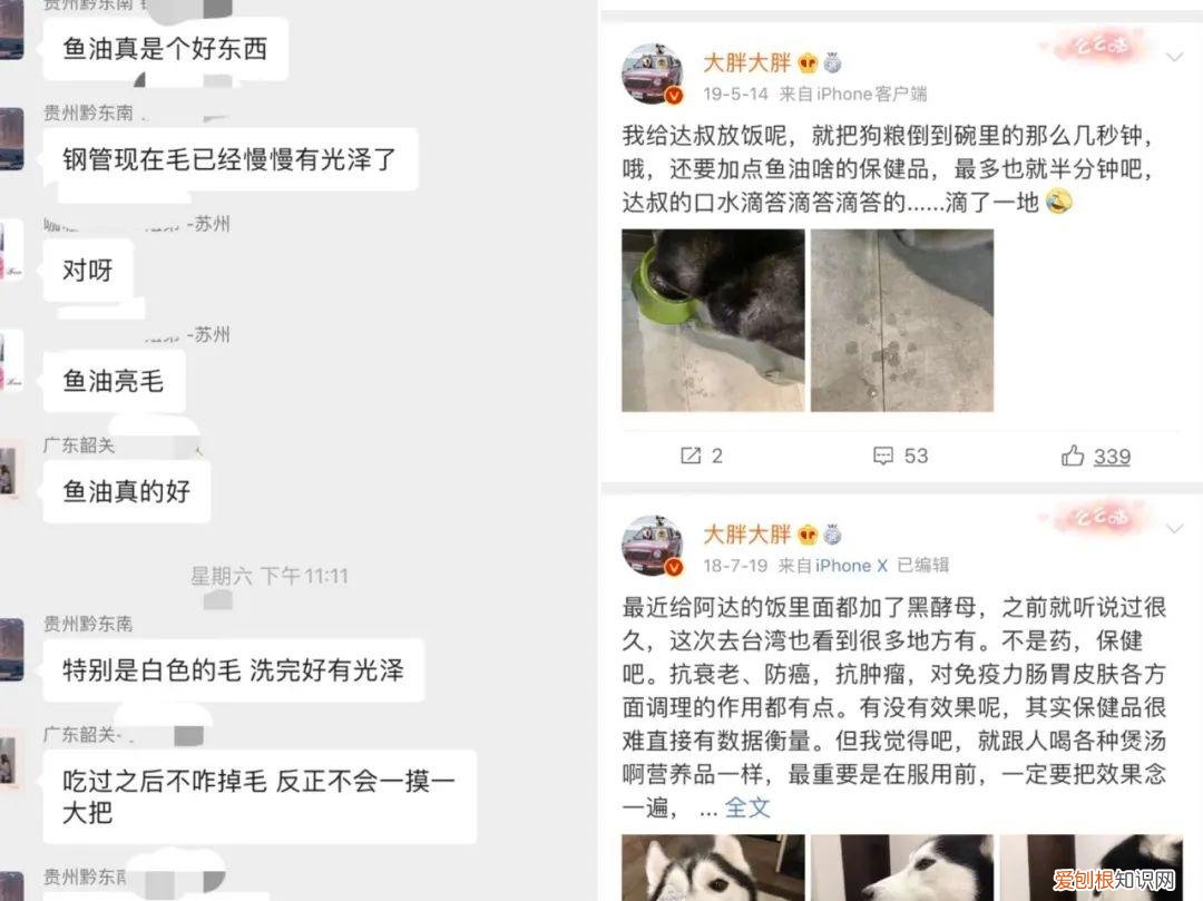 给宠物买保健品,究竟满足了谁的需求呢,给宠物买保健品,究竟满足了谁的需求?