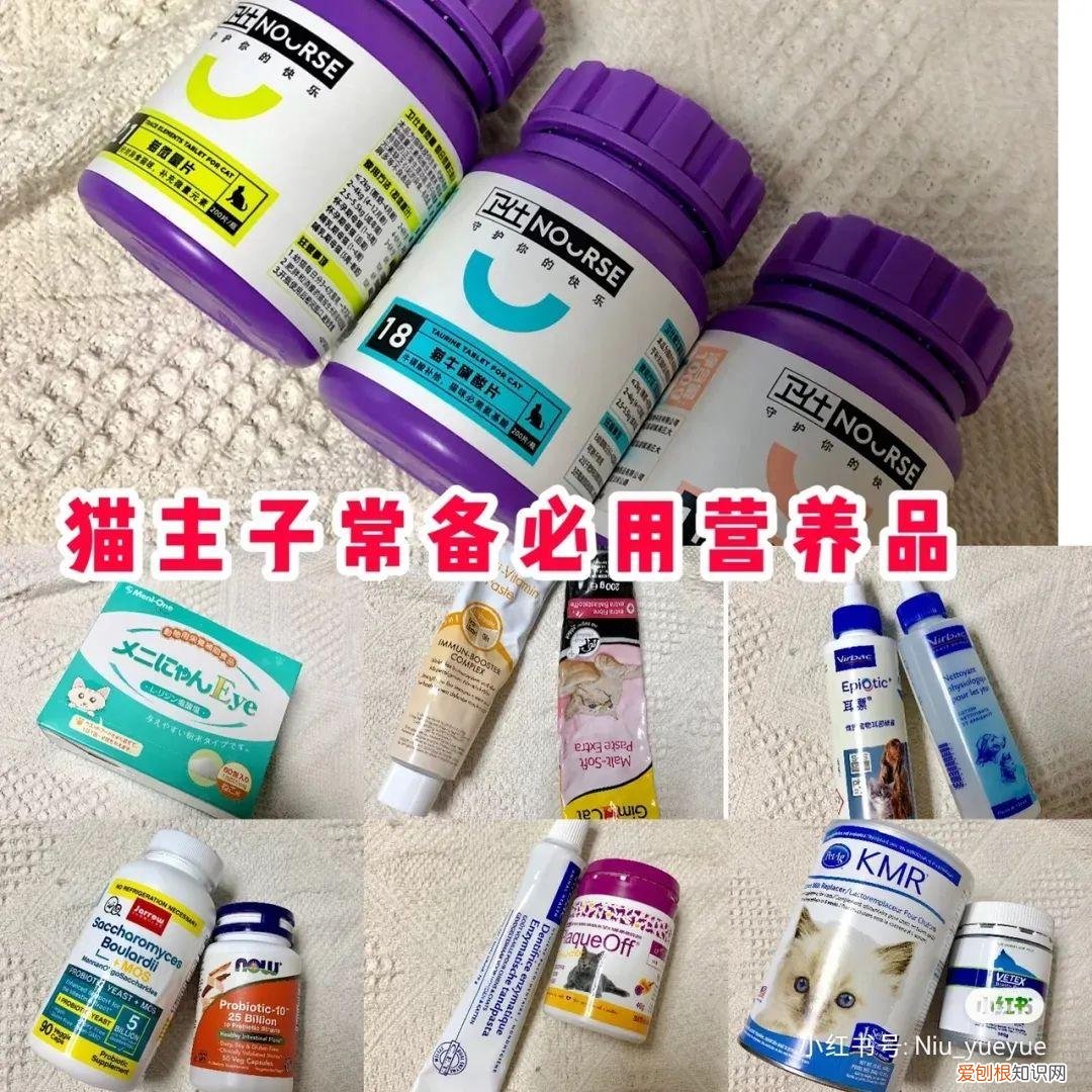 给宠物买保健品,究竟满足了谁的需求呢,给宠物买保健品,究竟满足了谁的需求?