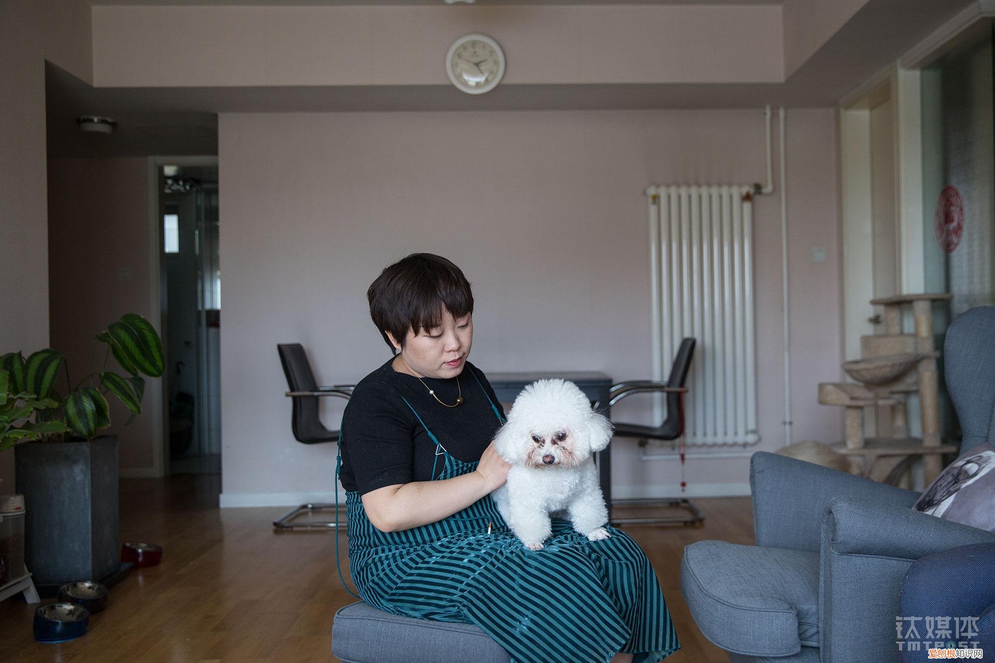 给宠物买保健品,究竟满足了谁的需求呢,给宠物买保健品,究竟满足了谁的需求?