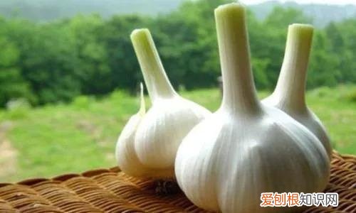 各种生活小妙招视频,50个你不知道的生活小妙招,个个超实用!