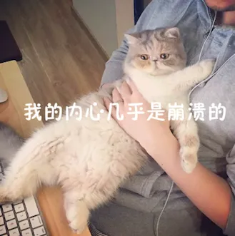 什么宠物聪明又好养,养一只特别蠢的宠物是种怎样的体验?
