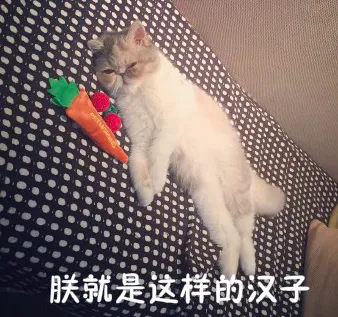 什么宠物聪明又好养,养一只特别蠢的宠物是种怎样的体验?