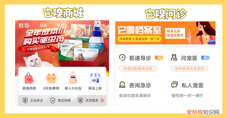 它嗅宠物怎么样,不懂宠物病症,可以随时打开它嗅宠物APP|安心的选择