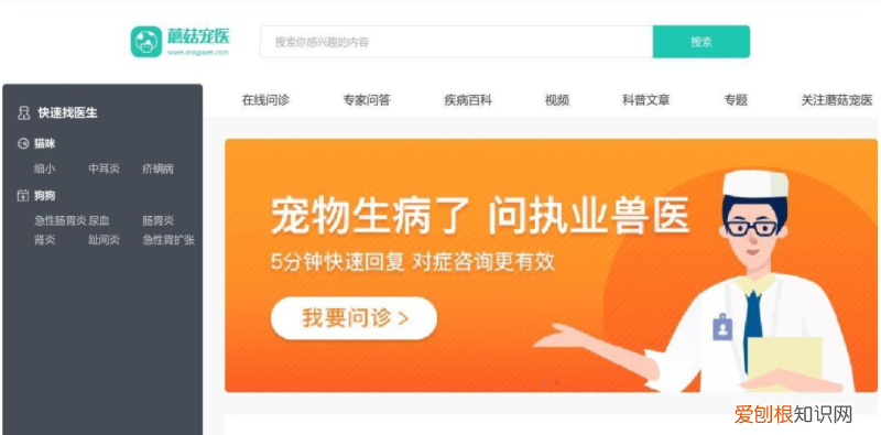 嗅嗅是谁的宠物,它嗅宠物vs蘑菇宠医vs京东健康,宠物线上医院到底哪家更靠谱?