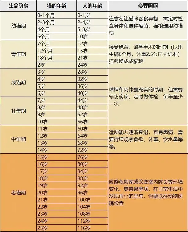 猫咪寿命和人的寿命表,【宠物知识科普篇】猫咪长寿秘诀是什么?看完就能get!
