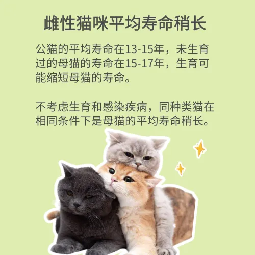猫咪寿命和人的寿命表,【宠物知识科普篇】猫咪长寿秘诀是什么?看完就能get!