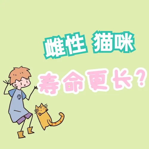 猫咪寿命和人的寿命表,【宠物知识科普篇】猫咪长寿秘诀是什么?看完就能get!