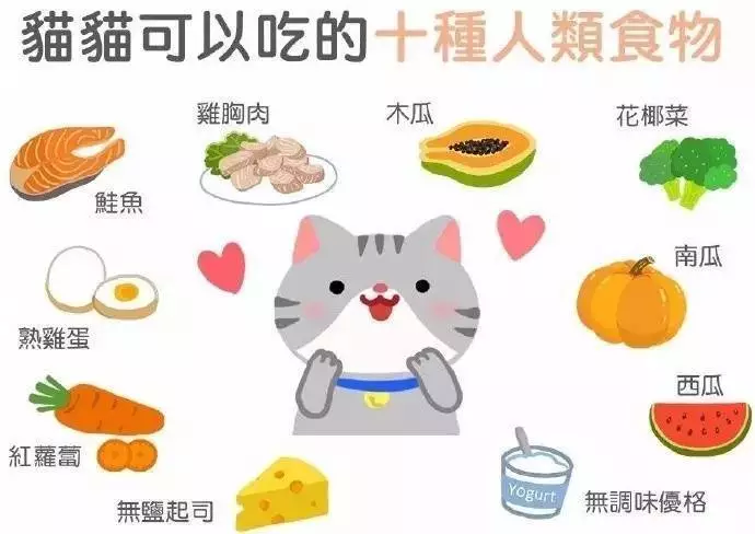 科普养猫基础知识大全,【宠物常识】养猫必备小常识